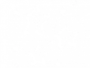 Image Star